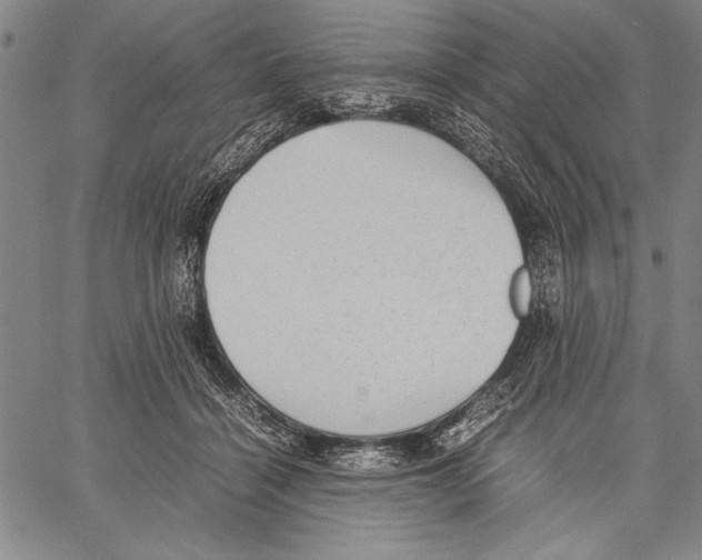 X0000060550460200512011621