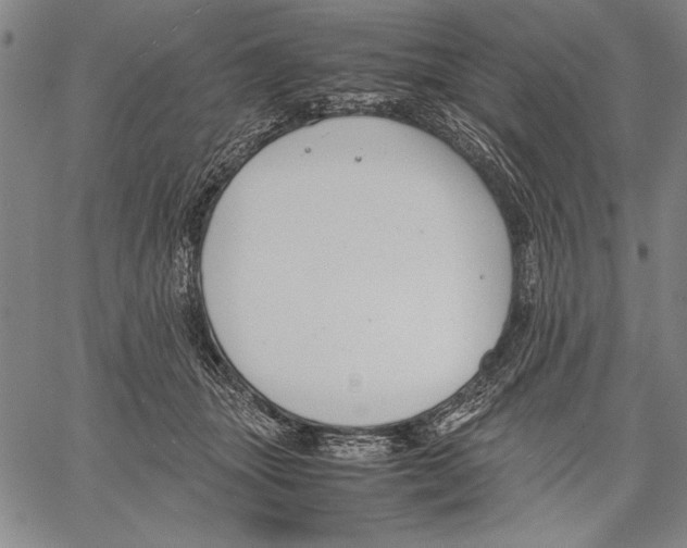 X0000060550463200512011621