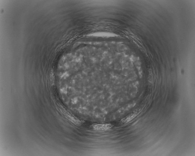 X0000060550465200512011621