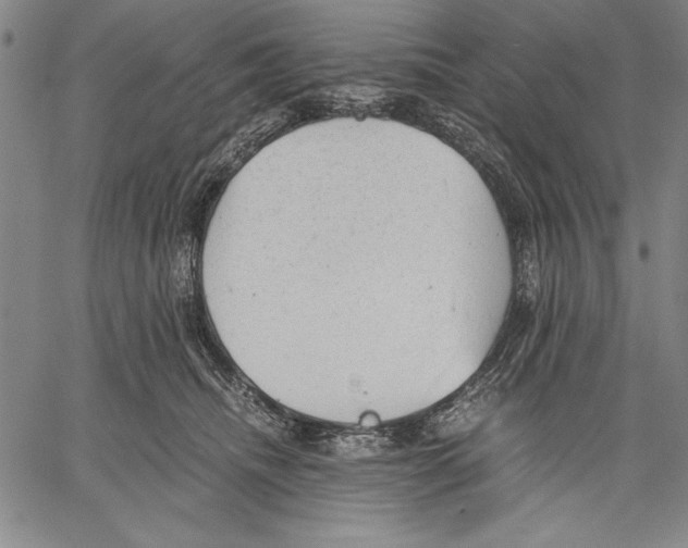 X0000060550468200512011621