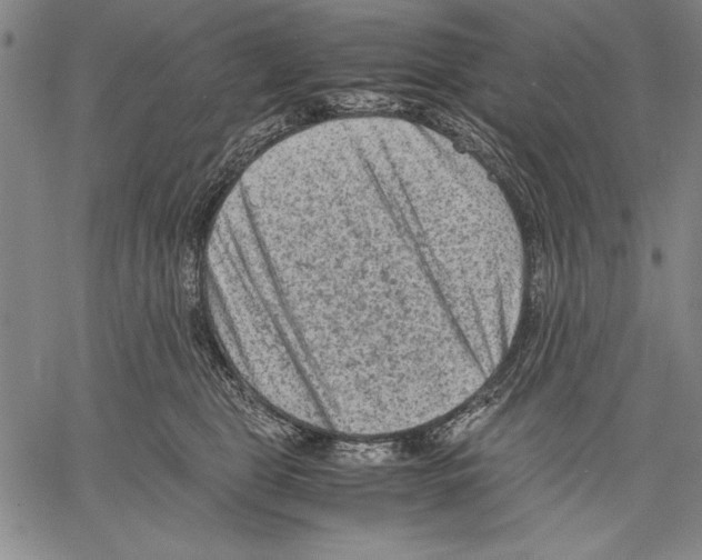 X0000060550469200512011621