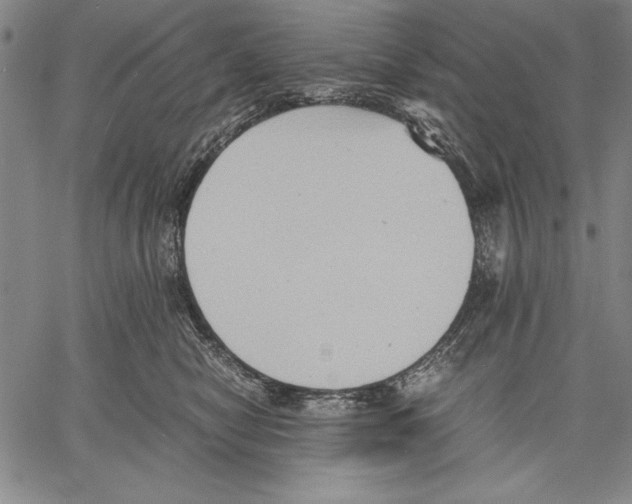 X0000060550470200512011621