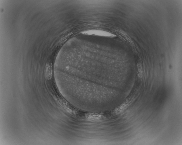 X0000060550471200512011621