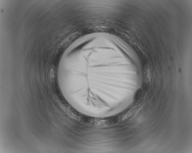 X0000060550472200512011621