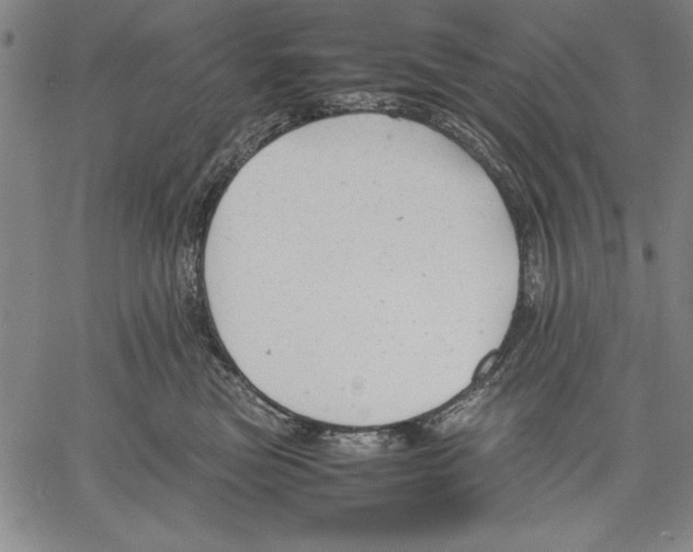 X0000060550473200512011621