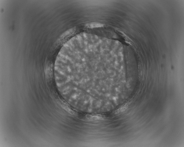 X0000060550475200512011621