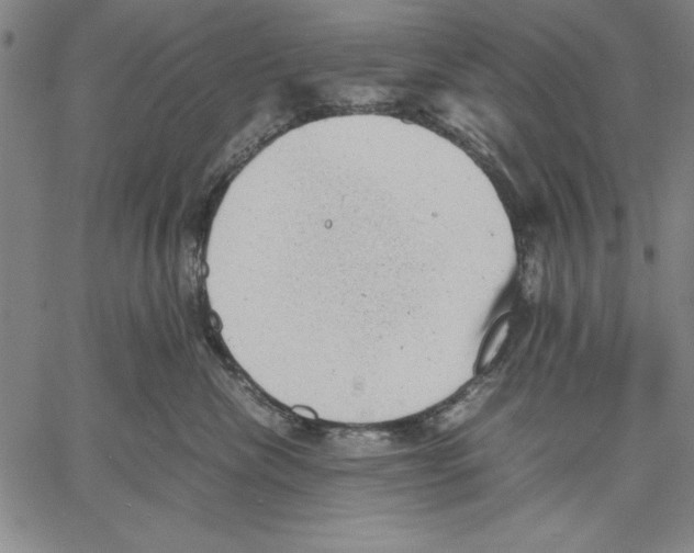 X0000060550476200512011621