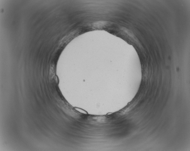 X0000060550478200512011621