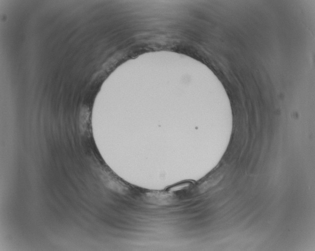 X0000060550480200512011621