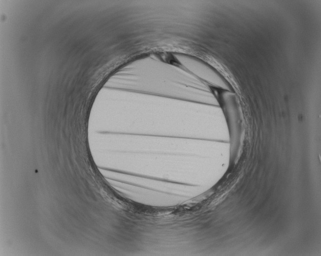 X0000060550481200512011620