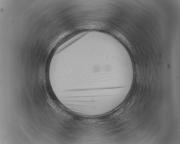 X0000060550482200512011620