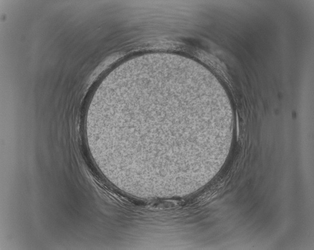 X0000060550483200512011620