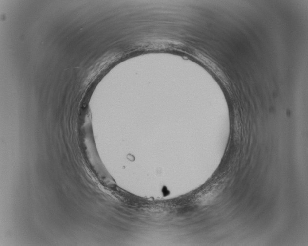 X0000060550485200512011620