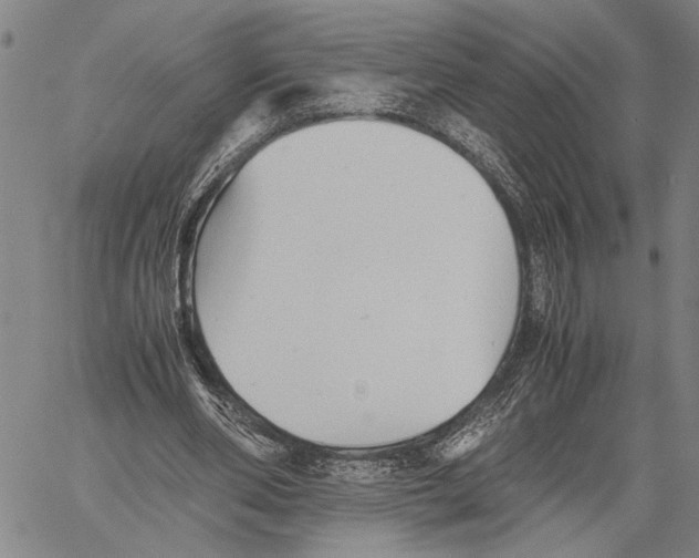 X0000060550486200512011620