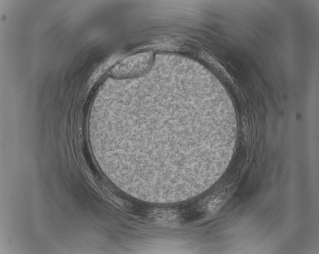 X0000060550487200512011620