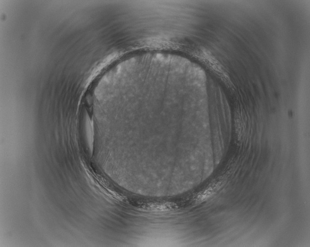 X0000060550488200512011620