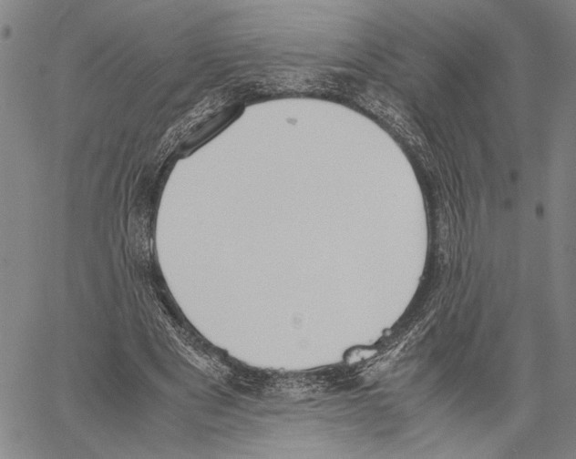 X0000060550489200512011620