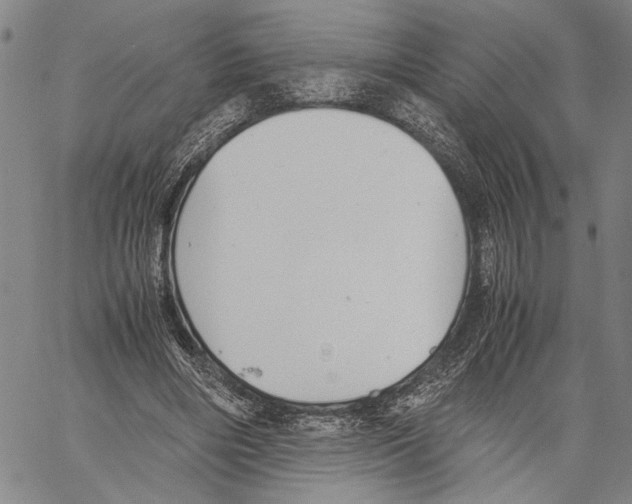 X0000060550490200512011620