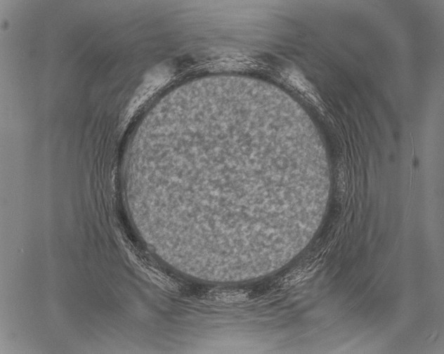 X0000060550491200512011620