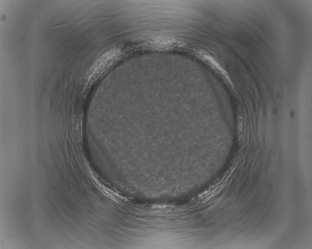 X0000060550493200512011620