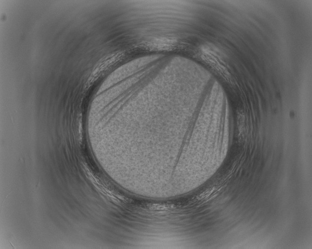 X0000060550494200512011620