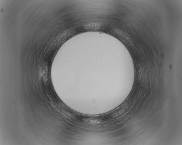 X0000060550498200512011620