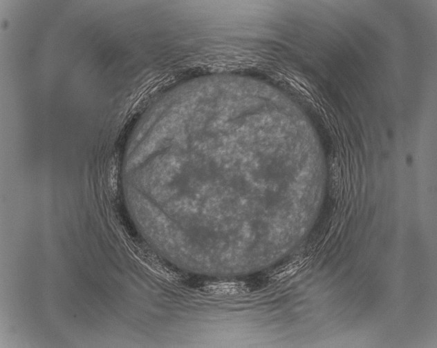 X0000060550499200512011620