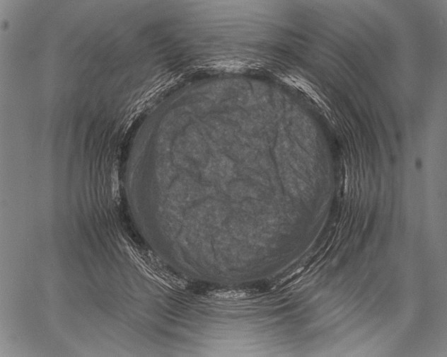 X0000060550500200512011620