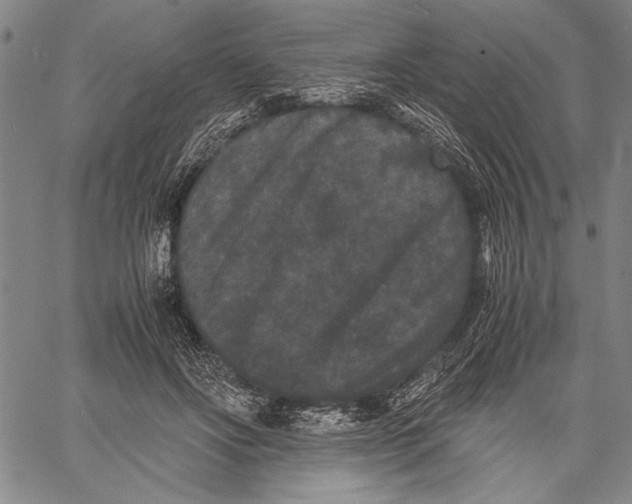 X0000060550502200512011620