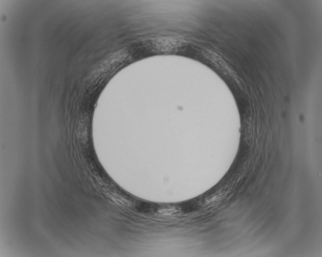 X0000060550505200512011620