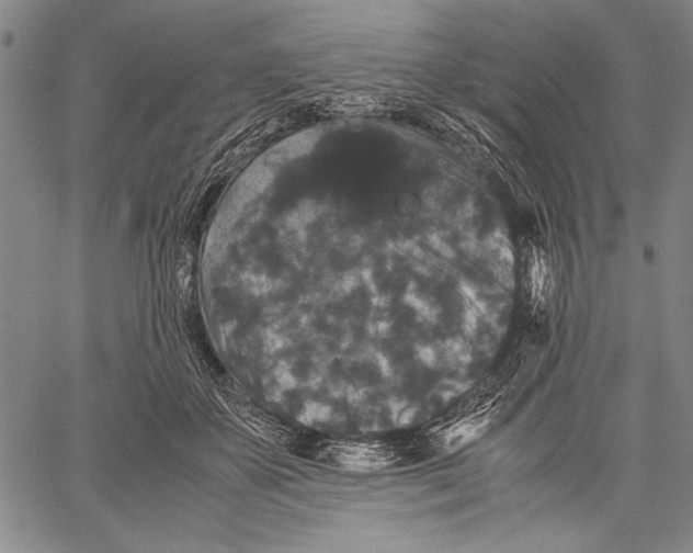 X0000060550507200512011620