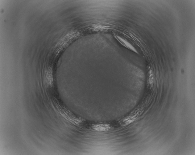 X0000060550508200512011620