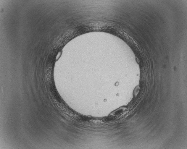 X0000060550509200512011620