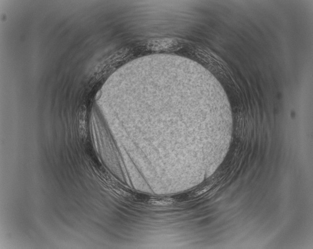 X0000060550510200512011620