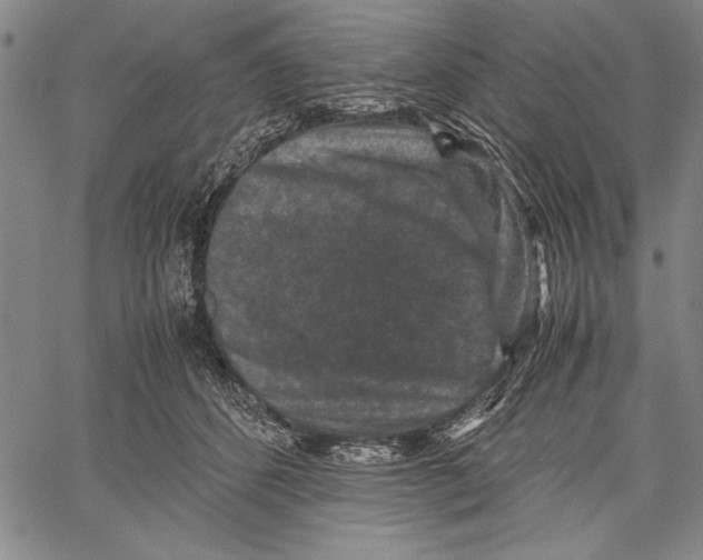 X0000060550512200512011620