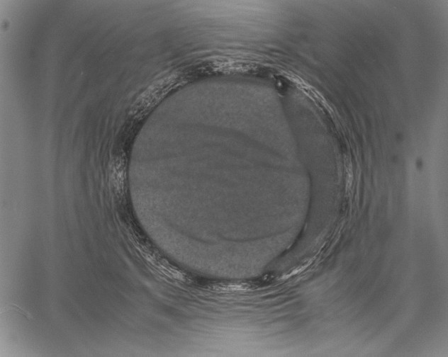 X0000060550513200512011620