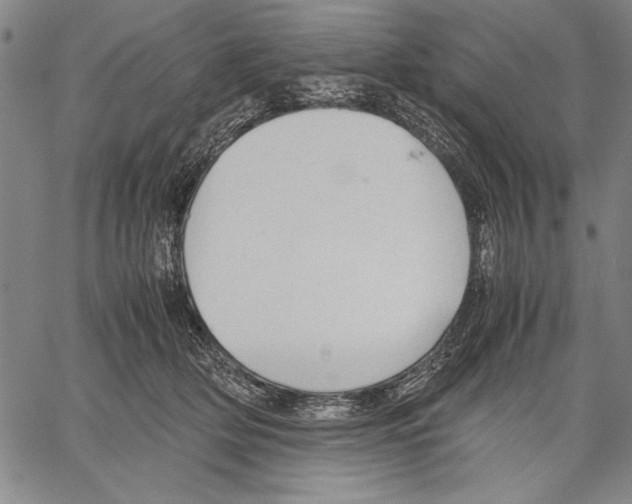 X0000060550514200512011620