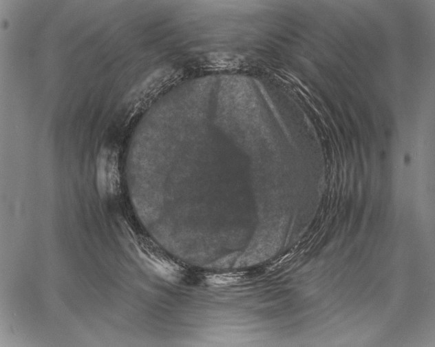 X0000060550516200512011619