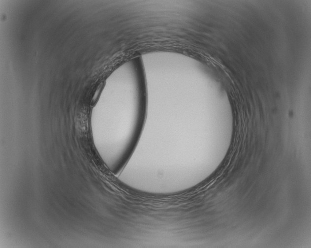 X0000060550517200512011619