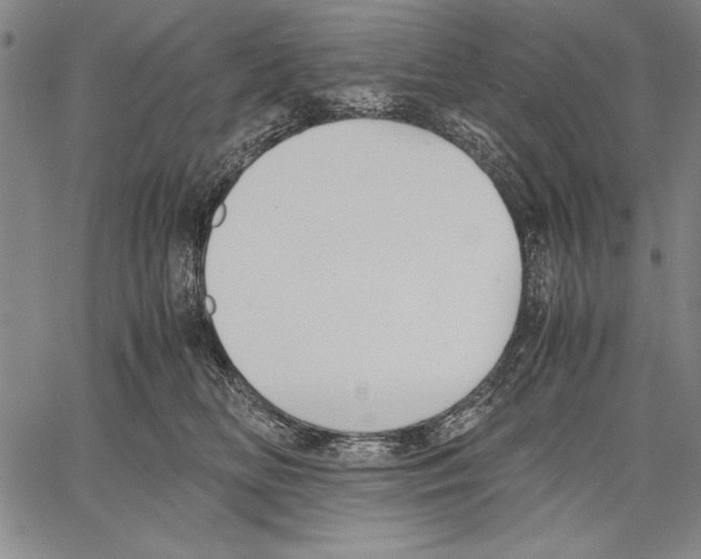 X0000060550518200512011619