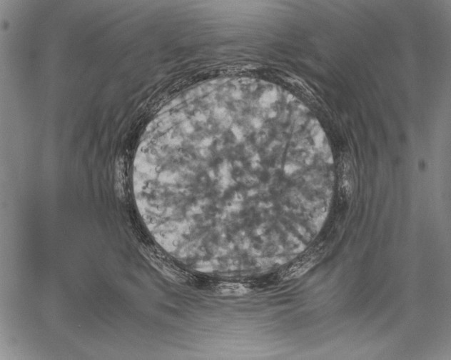 X0000060550519200512011619