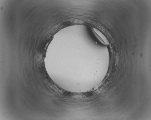 X0000060550521200512011619