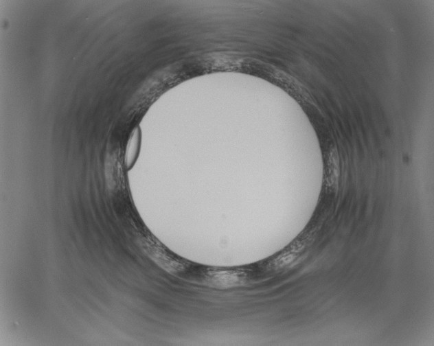 X0000060550522200512011619