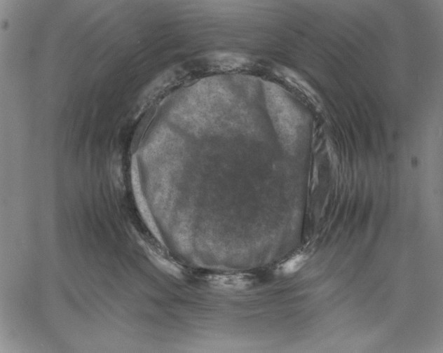 X0000060550524200512011619