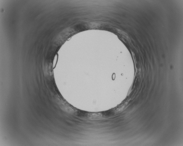 X0000060550525200512011619