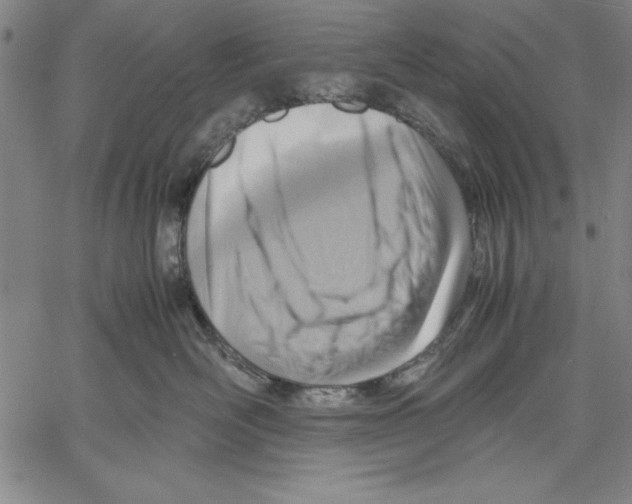 X0000060550526200512011619