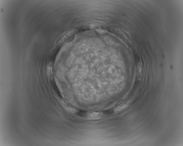 X0000060550527200512011619