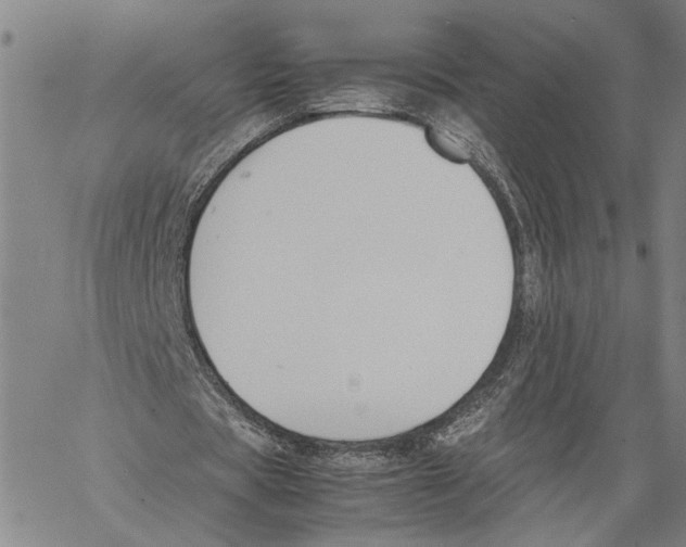 X0000060550529200512011619