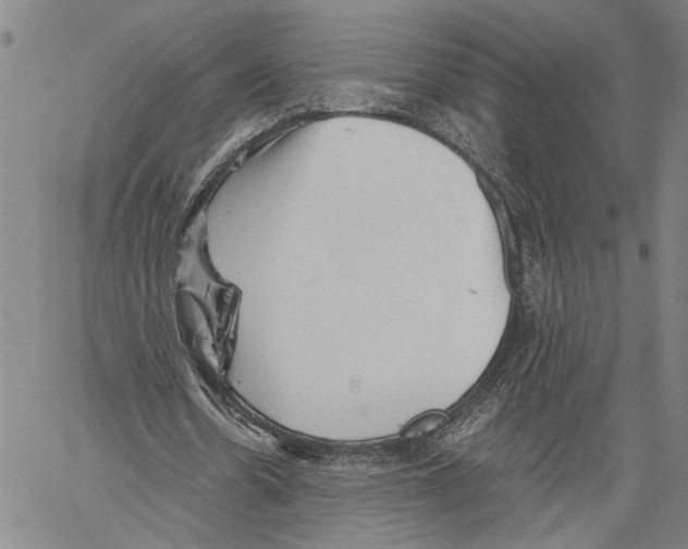 X0000060550530200512011619