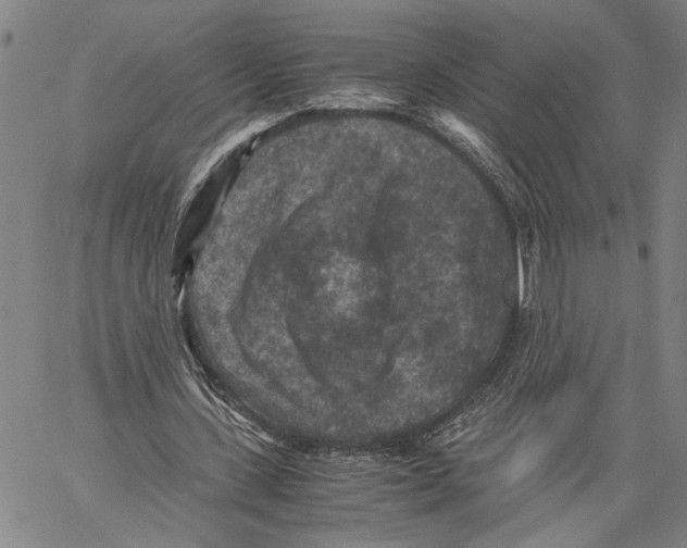 X0000060550531200512011619